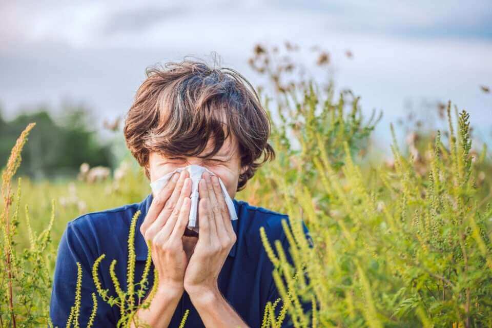 Аллергия на пыльцу растений усилится из-за изменения климата
