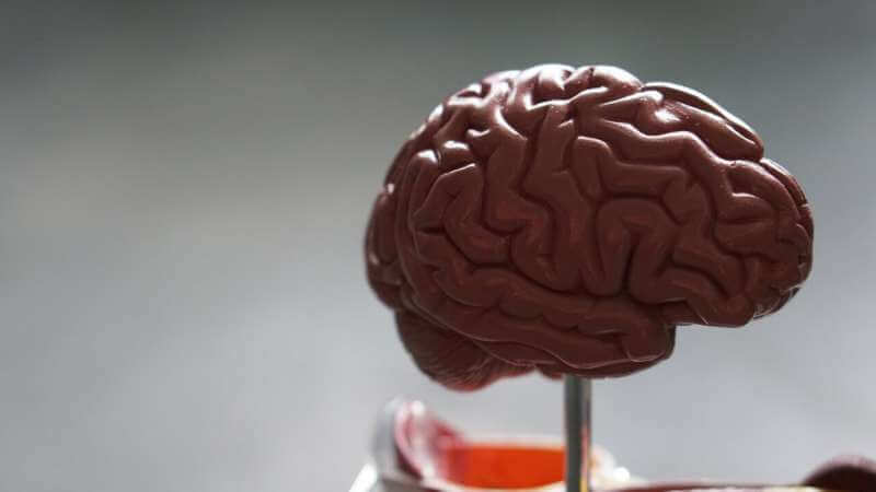 Кокаиновая зависимость заставляет мозг стареть быстрее, предполагает исследование