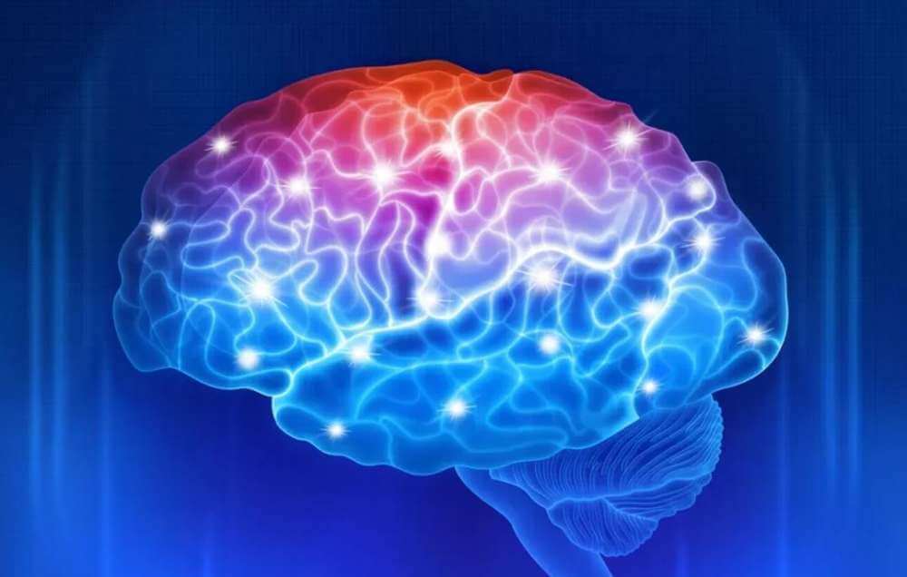 Влияние ключевого белка болезни Альцгеймера зависит от типа клеток мозга