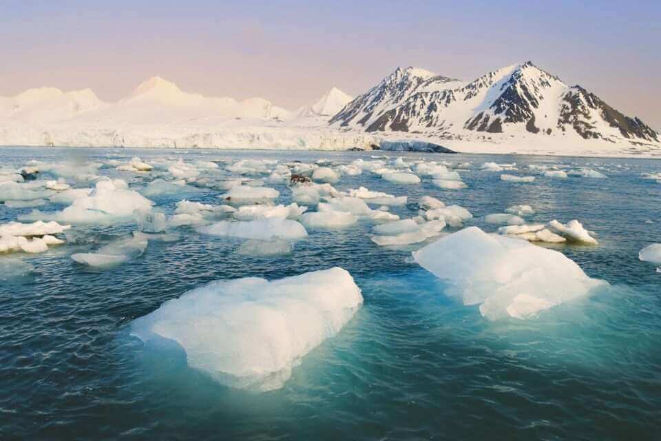 Водоросли арктического морского льда сильно загрязнены микропластиком