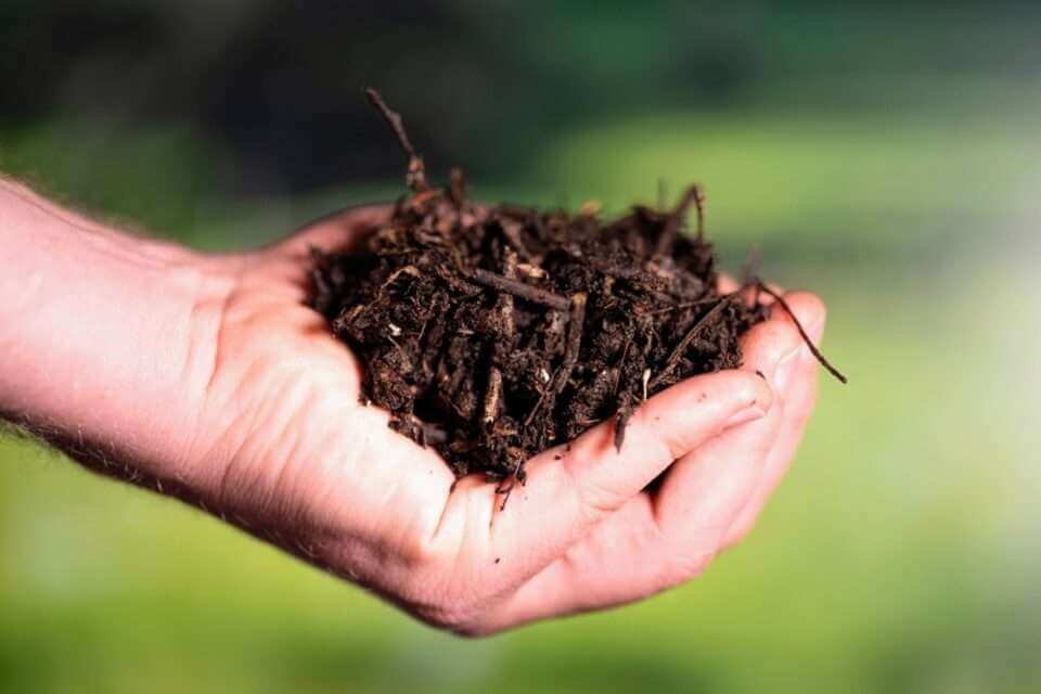 Связывание углерода в почве зависит от микробов