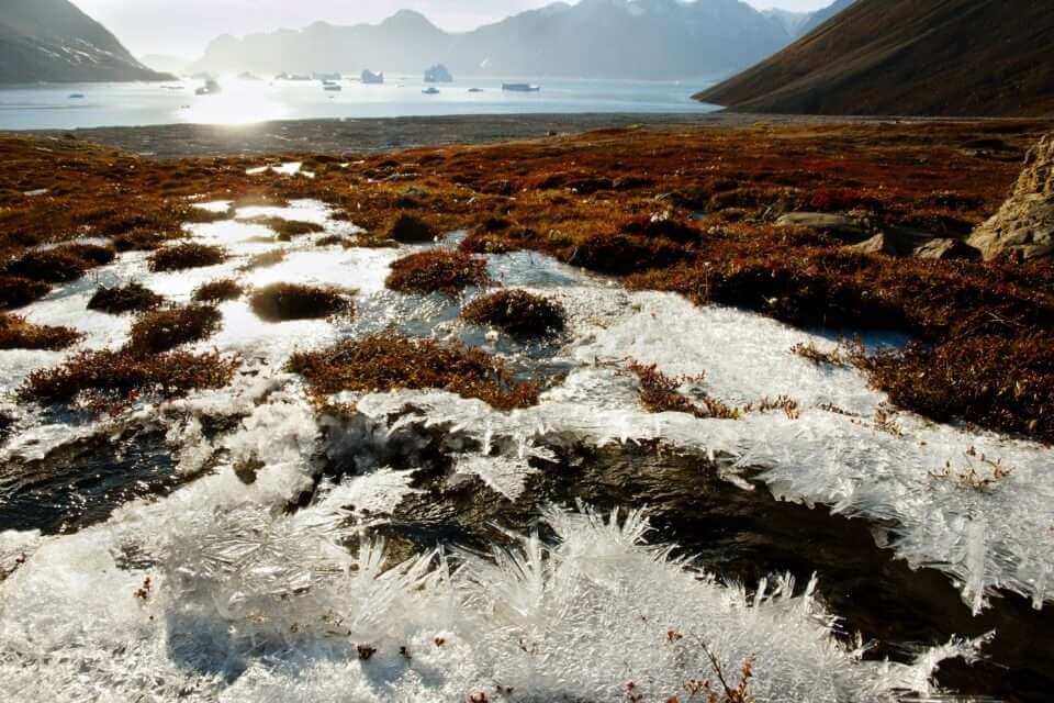 Изменение климата высвобождает древние "зомби-вирусы" по мере таяния льда