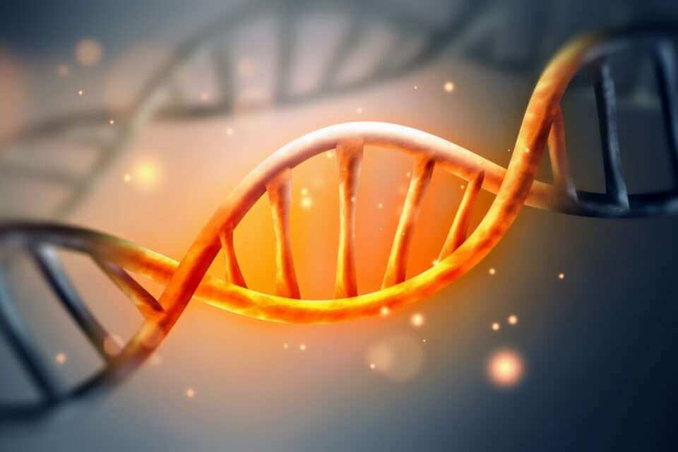 Исследование выявило 275 миллионов новых генетических вариантов
