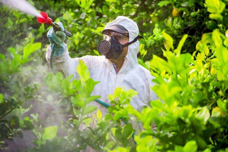 Воздействие пестицидов повышает риск развития болезни Паркинсона