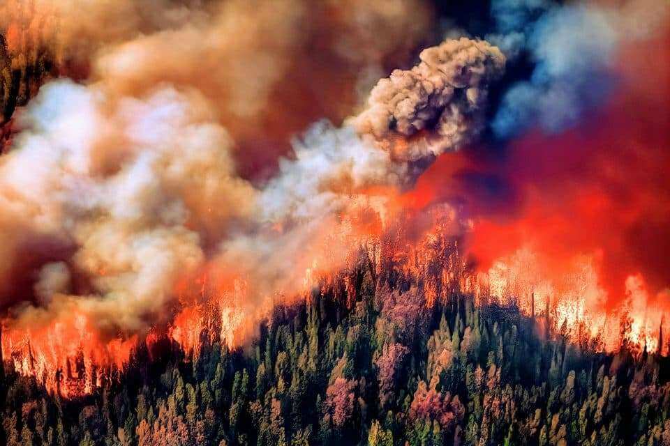 Большинство людей связывают экстремальную жару и лесные пожары с изменением климата