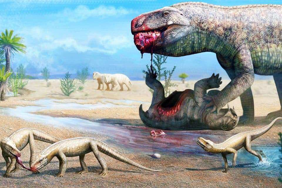 Древняя крокодилоподобная рептилия обнаружена в Бразилии
