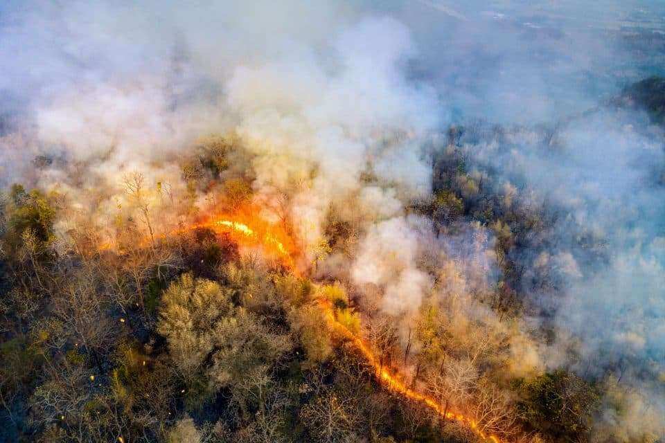 Дым от лесных пожаров создает условия, благоприятствующие возникновению новых пожаров