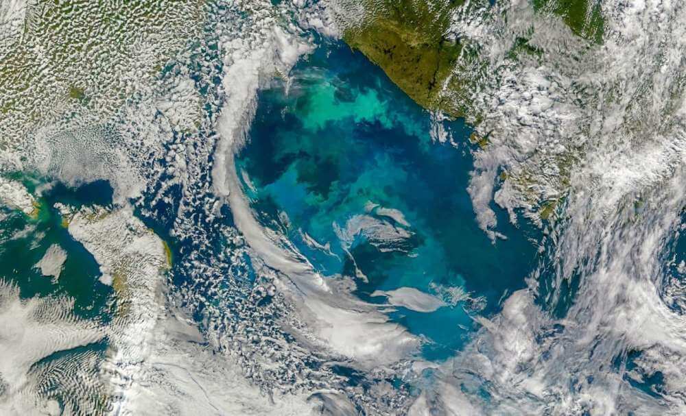 Крошечный планктон играет большую роль в глобальном углеродном цикле