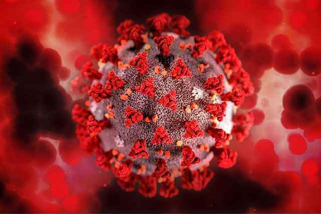 Пациенты с первичным и вторичным иммунодефицитом подвержены более высокому риску смертности после заражения COVID-19