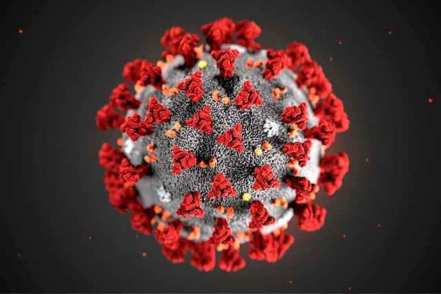 Впервые раскрыта структура внешней оболочки вируса SARS-CoV-2
